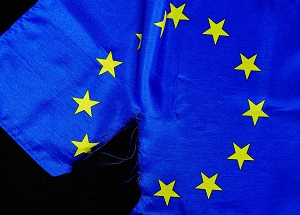 Survey found Brexit damaged business confidence